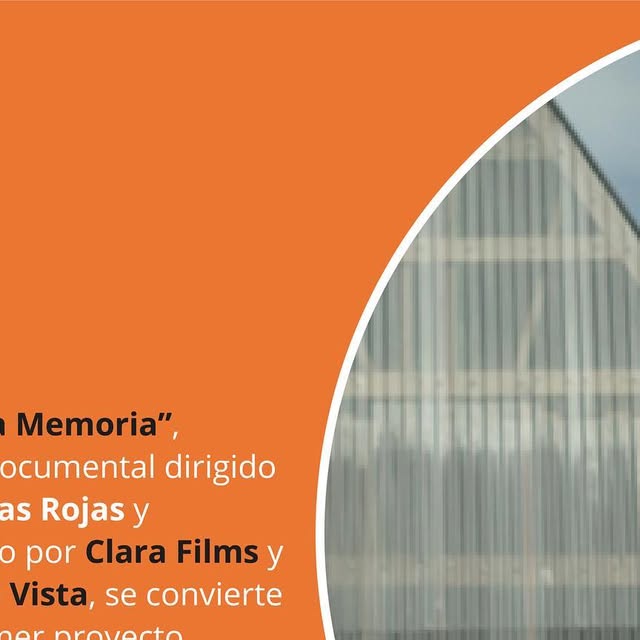 API_Chile's tweet card. API Chile (@apichile) • Instagram photos and videos