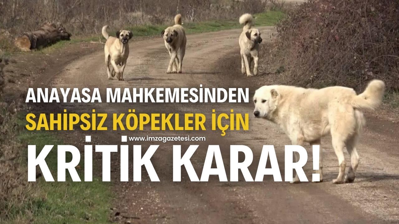 ImzaGazetesi's tweet card. Anayasa Mahkemesi, kamuoyunda geniş yankı uyandıran sahipsiz hayvanlarla ilgili yasa değişikliğine ilişkin kararını verdi.