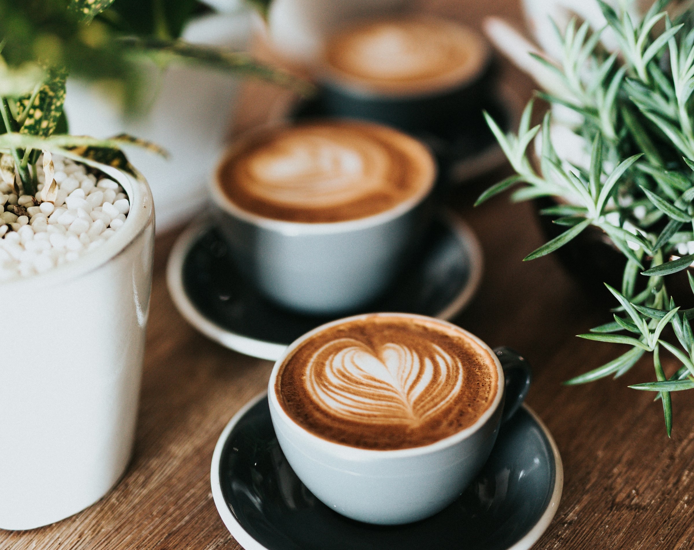 IntertechInc's tweet card. According to New Relic's fourth annual State of the Java Ecosystem report released today, Java remains one of the most popular languages among developers nearly three decades on due to its "scalabi...