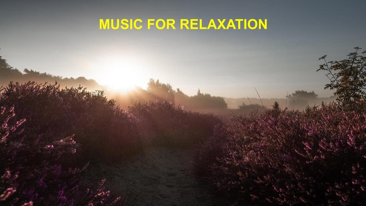 mb9831681080's tweet card. Peaceful Relaxation Music, Stress-free Music, Meditation Music,...