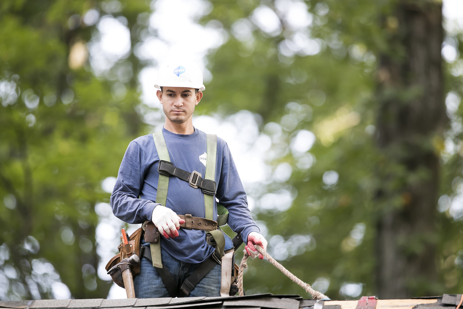 traderstack's tweet card. Photo collection by Nicholas Griner Photographer