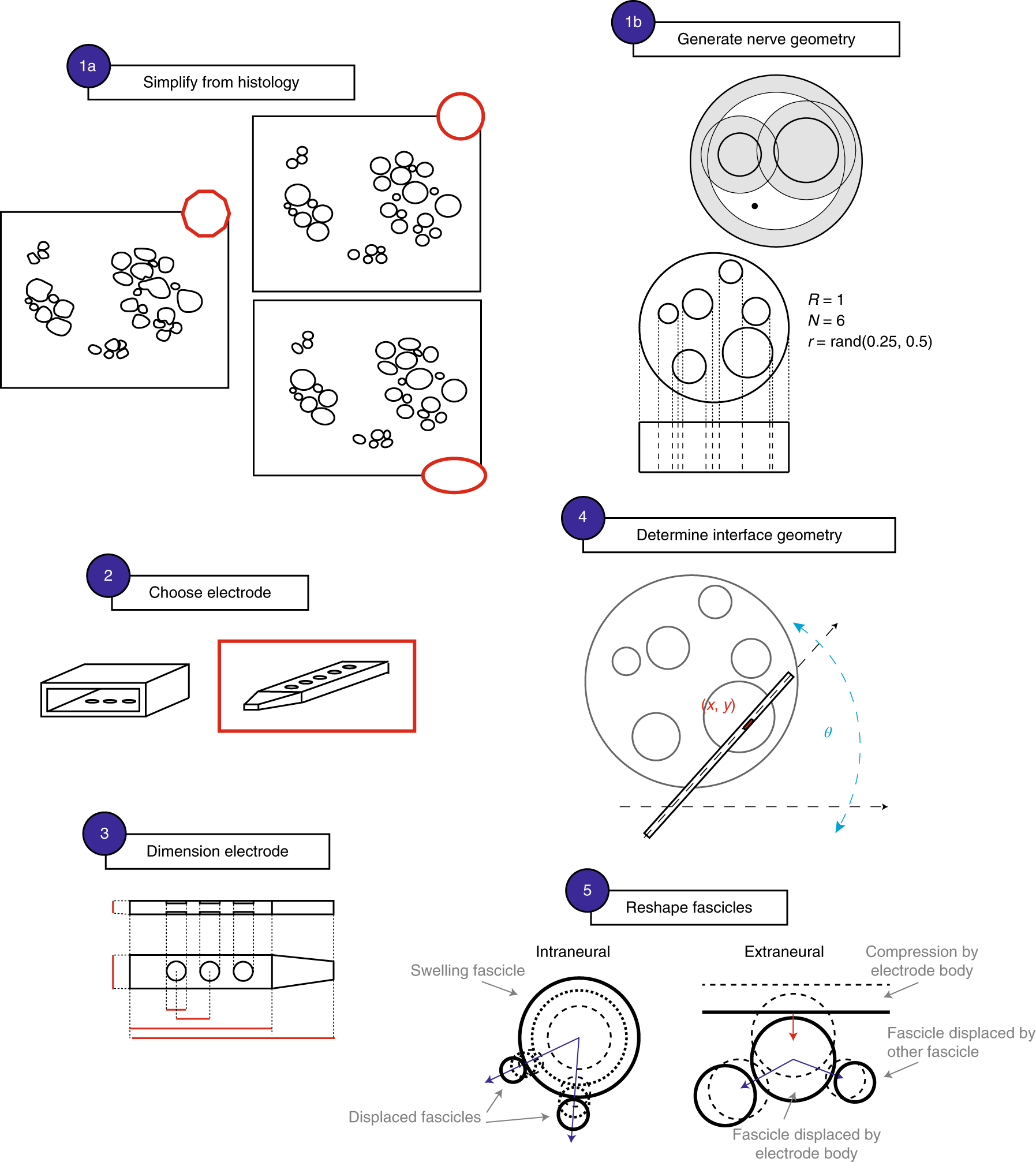 NatureProtocols's tweet card. Nature Protocols - Neural interfaces with implantable electrodes are used to modulate and restore function to the peripheral nervous system. Hybrid modeling described in this protocol is used to...