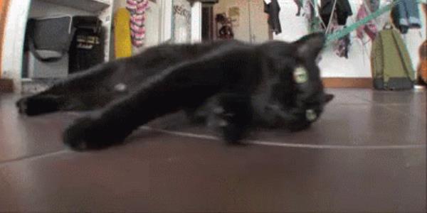 thecodinglove's tweet card. When my manager asks me to join a meeting with the sales team - The Coding Love - Programmer humor:...