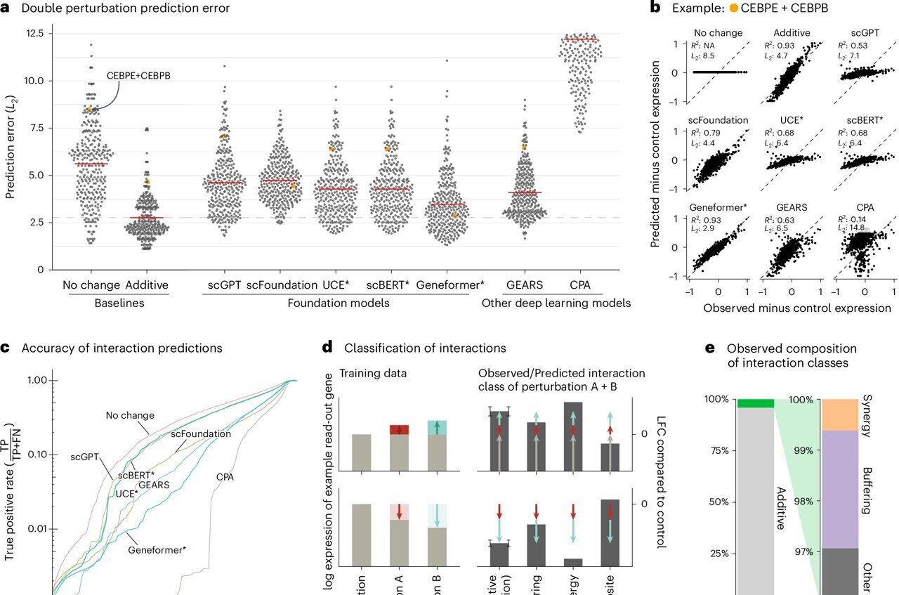 physorg_com's tweet card. Deep learning models have shown great potential in predicting and engineering functional enzymes and proteins. Does this prowess extend to other fields of biology as well?