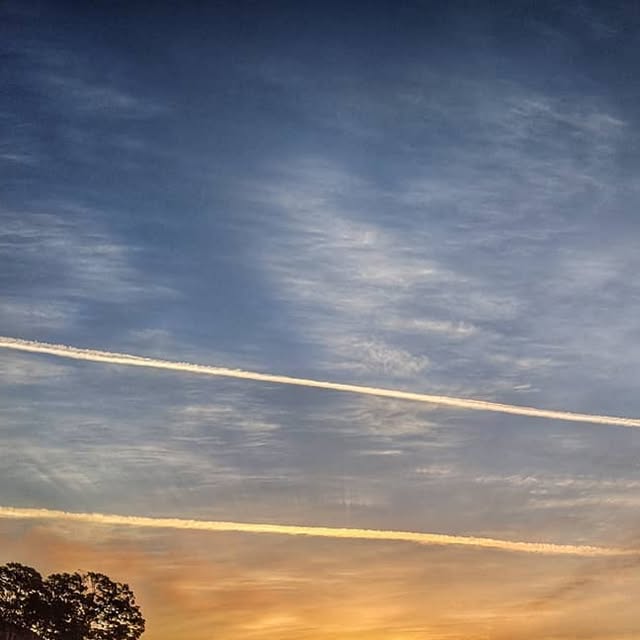 greg_roden's tweet card. Greg Roden (@ninjified) • Instagram photo