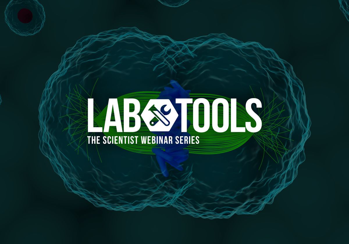 ConquerSci's tweet card.  In this webinar, Stefano Maffini will share multidisciplinary methods for dissecting mitotic molecular mechanisms.