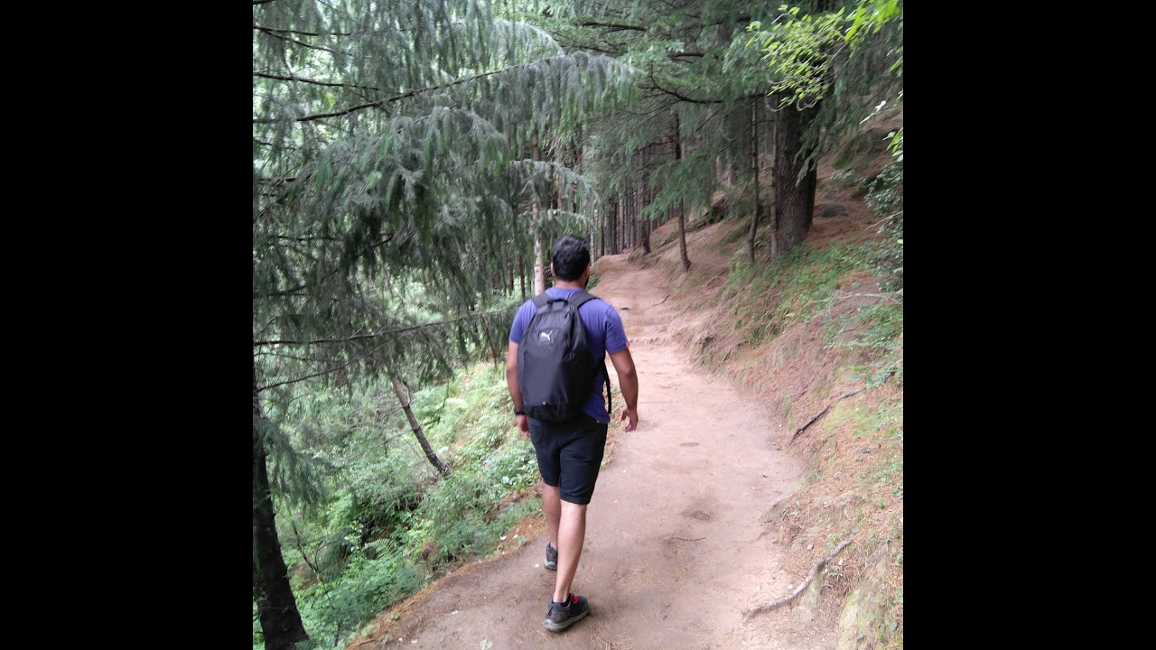 ninad911's tweet card. Harold HalibutGameplay PS5