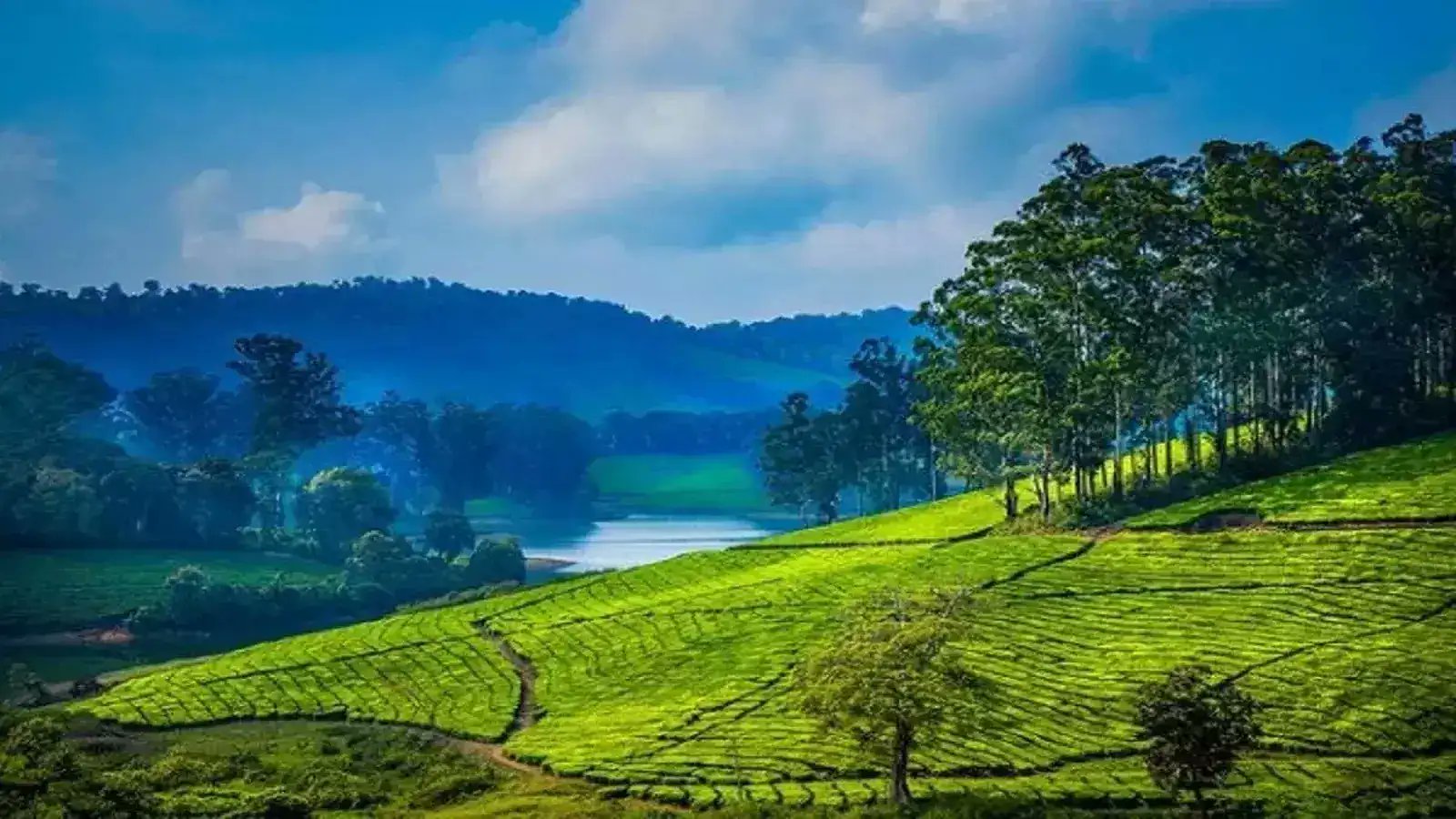 JavaarchitectG's tweet card. அழகிய இயற்கை வளங்களைக் கொண்ட மேகமலையில், சூழல் சுற்றுலா திட்டத்தை செயல்படுத்த வனத்துறை உடனடியாக நடவடிக்கை எடுக்க வேண்டும் என இயற்கை ஆர்வலர்கள் வலியுறுத்தியுள்ளனர்.