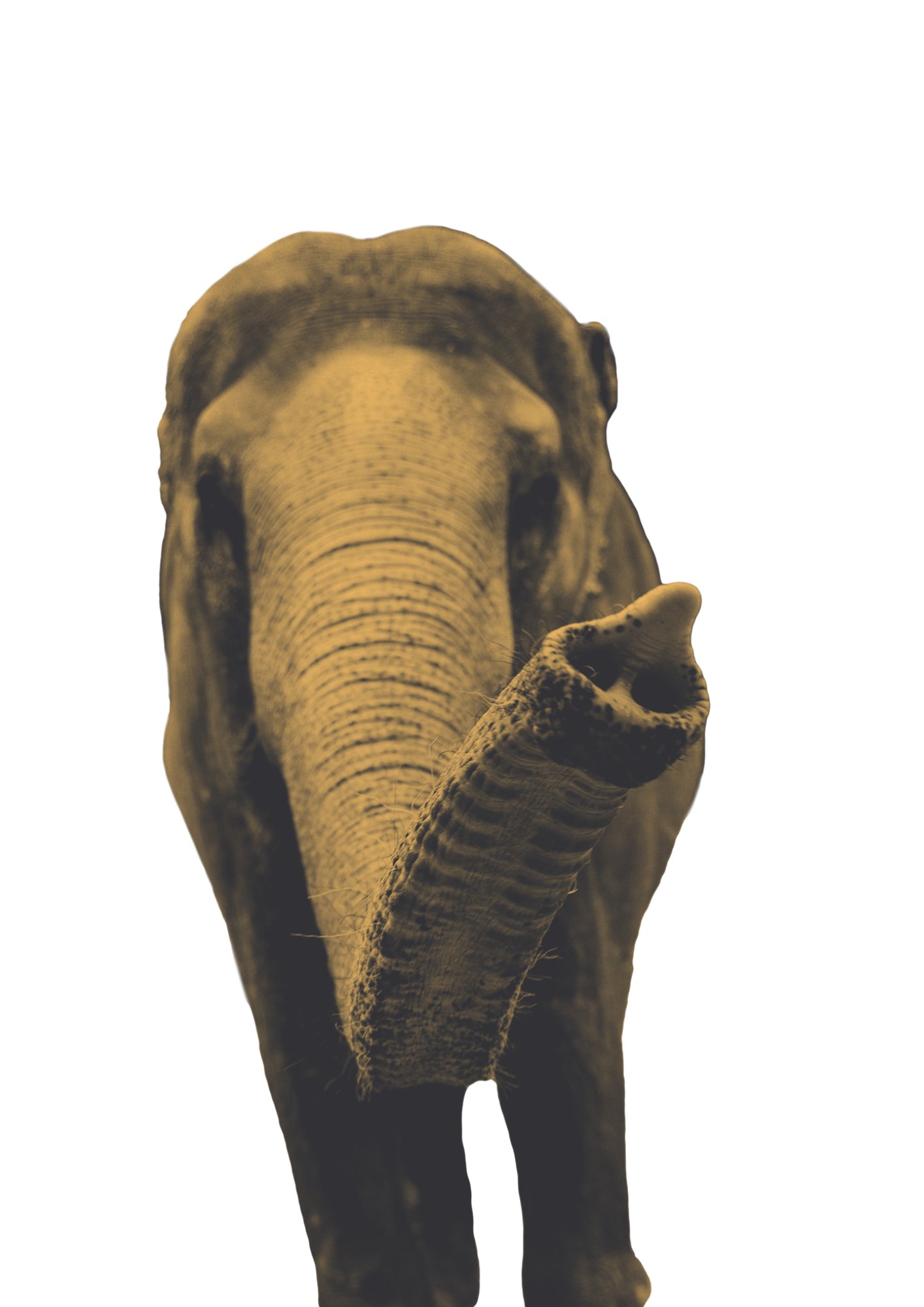 dataegret's tweet card. Streamline your database migration with expert PostgreSQL support from Data Egret — zero downtime, zero guesswork.