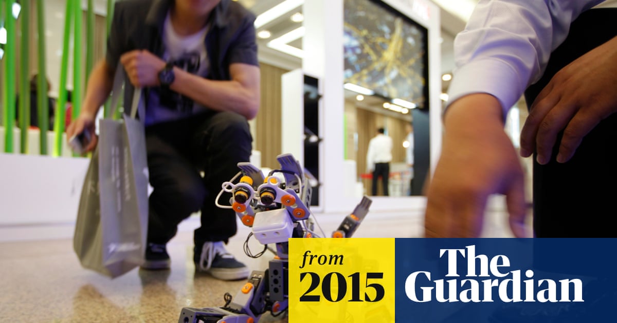 FlutterWireless's tweet card. Humans will be taken care of like pets should robots take over because AI will want to preserve us as part of nature