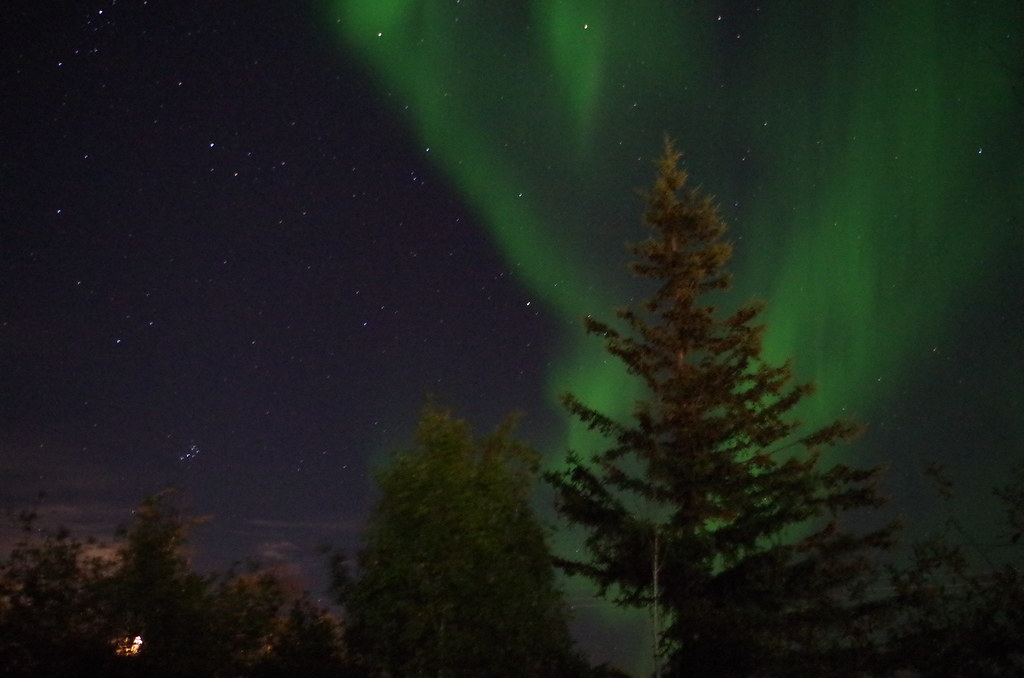 phpdan's tweet card. Northern Lights