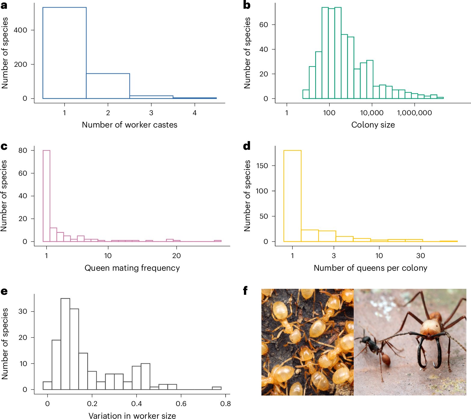 juliet_turner6's tweet card. Nature Ecology & Evolution - Using data from 794 ant species, the authors test alternative causal models to explain the evolution of complexity in ant colonies. They find evidence that larger...