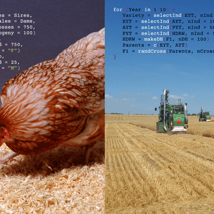 Tweet card summary image