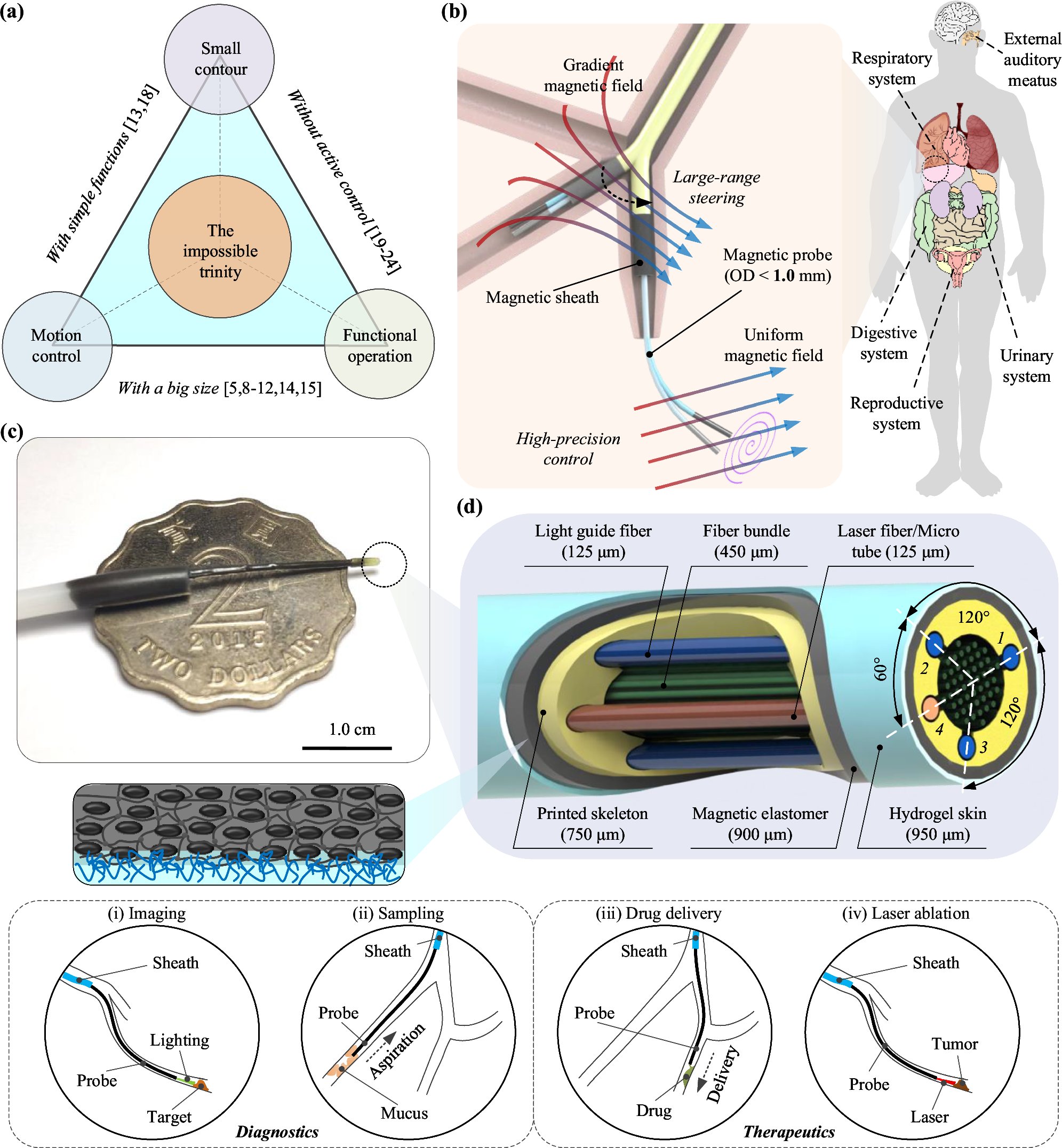 NatureComms's tweet card. Nature Communications - Small size, precise steering, and visualized functional treatment are crucial for robotic interventional diagnosis and treatment. Here, the authors introduce a fiberscopic...