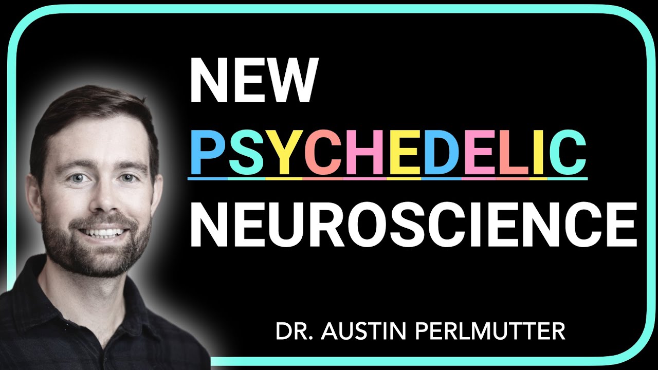 austinperlmd's tweet card. The New Neuroscience Of Psychedelics