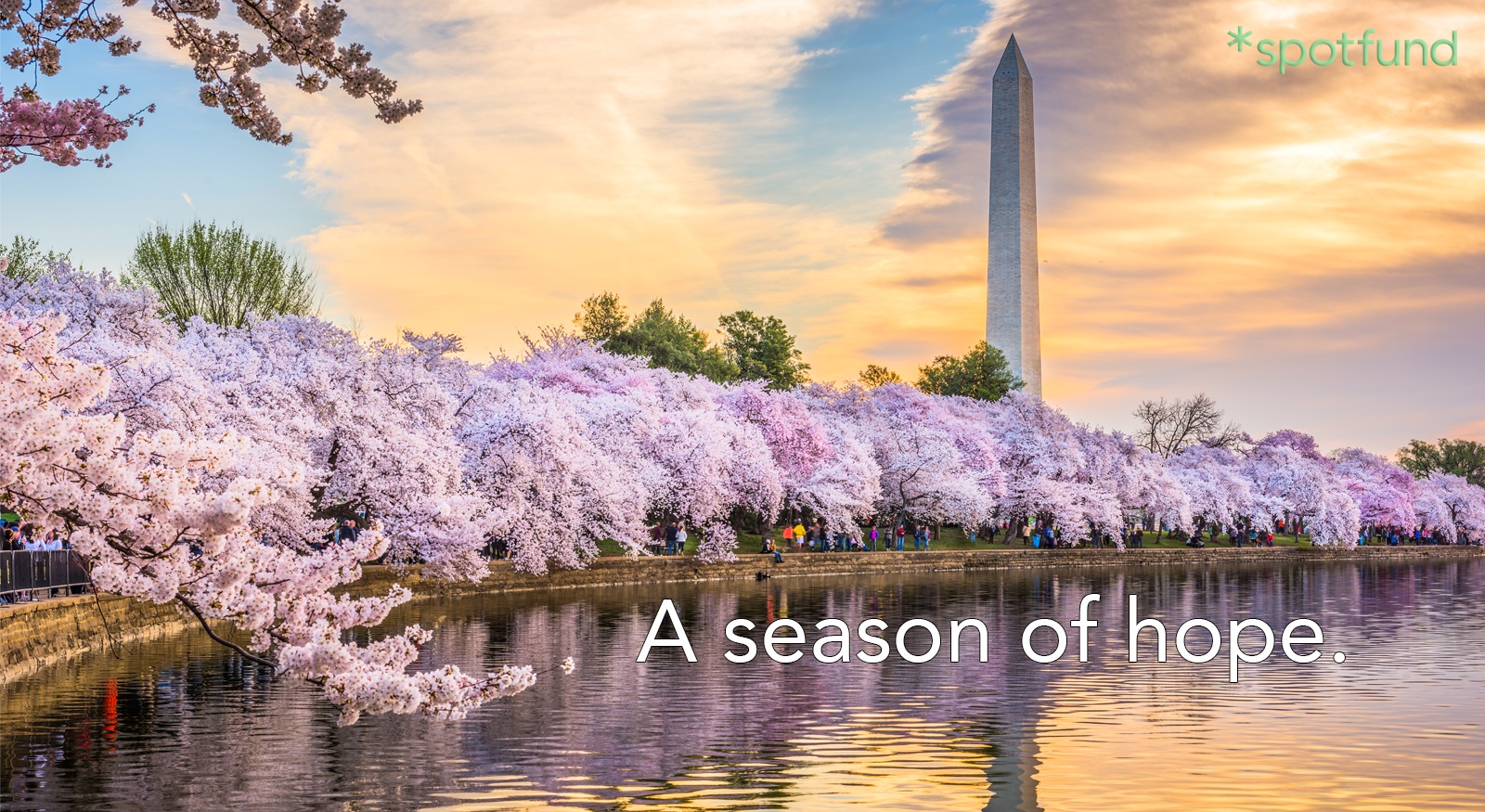 clustering's tweet card. Help Jenny Stevens Move to Tamarac, FL for a Fresh StartIntroduction: Hi everyone, my name is Lamar Morgan, and I am reaching out to you with a heartfelt plea t