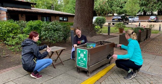 Tweet card summary image