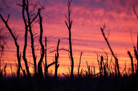 Image for twitter card