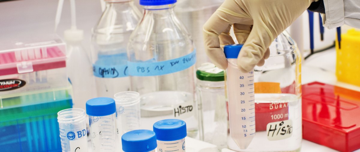 jytinevez's tweet card. Pasteur courses