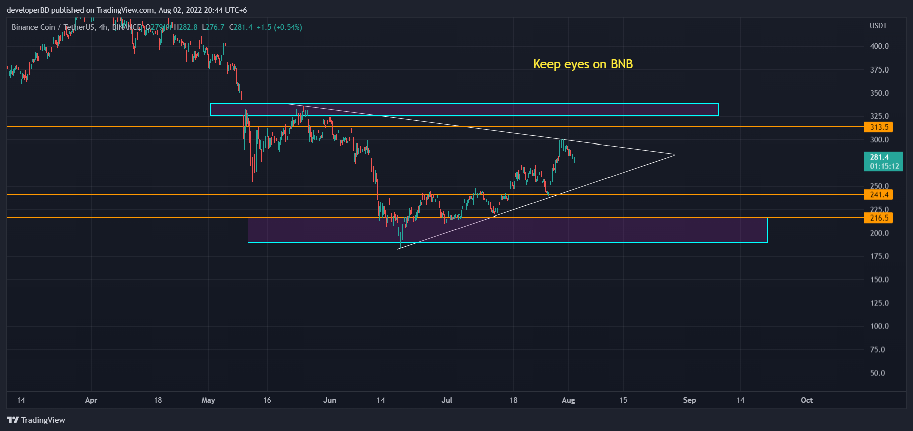 crypto_cpp's tweet card. BINANCE:BNBUSDT Chart Image by developerBD