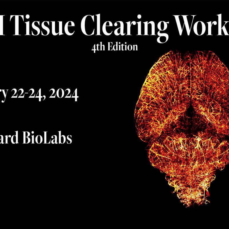 PetePitrone's tweet card. Tissue Clearing Workshop 2024 | Harvard Center for Biological Imaging