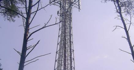 Tweet card summary image