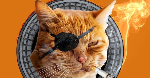 Tweet card summary image