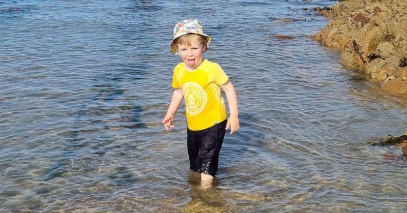 Tweet card summary image