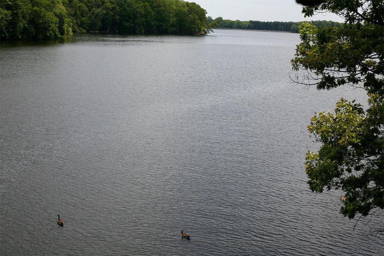 excelenv's tweet card. Mayor Steve Fulop said the project will increase security and add public space around the reservoir.