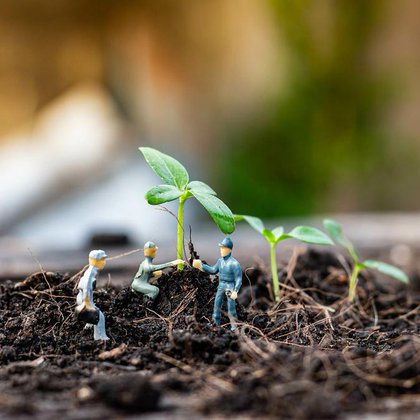 Tweet card summary image