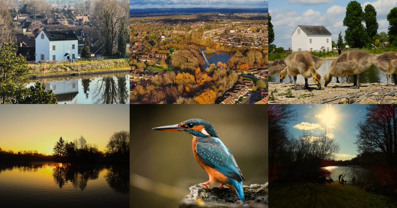 Tweet card summary image