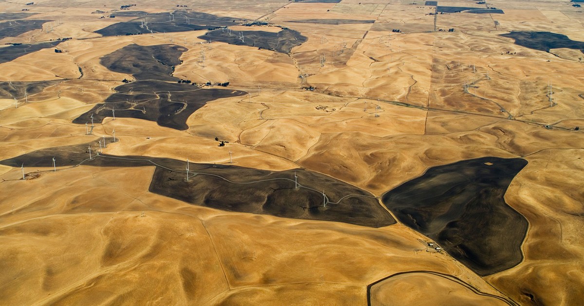 newsycombinator's tweet card. Millions of dollars have been set aside to encourage controlled burns that can help defang forest fires.