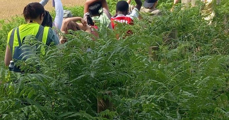 Tweet card summary image