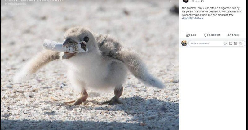 Tweet card summary image