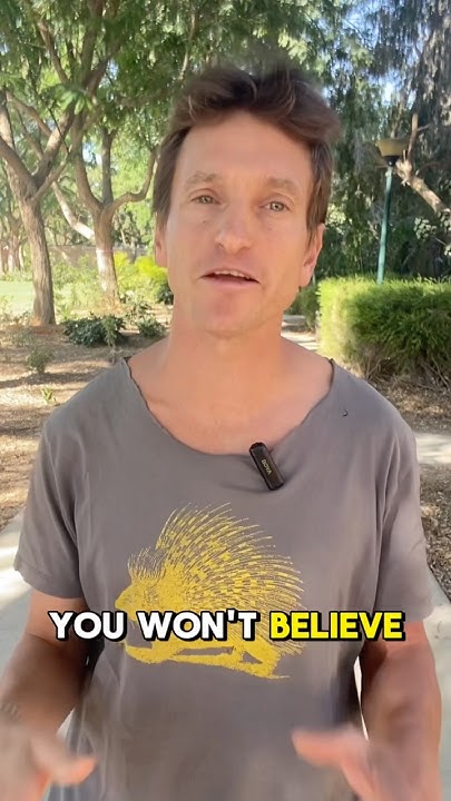 artful_coder's tweet card. A Miracle in GAZA!!! #gaza #israel #ceasefire