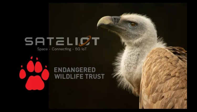 _Raspberry_Pi_'s tweet card. Sateliot y EWT revolucionan la conservación de la fauna salvaje en el sur de África con satélites 5G IoT