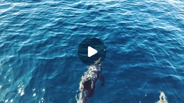 swiftdeveloperx's tweet card. Paul Rennick (@passengerpaul) • Instagram video