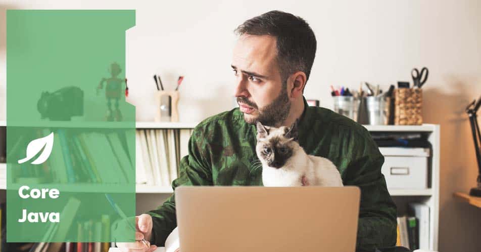 baeldung's tweet card. A comprehensive, super detailed guide on getting JSON Web Tokens right with JWTs.