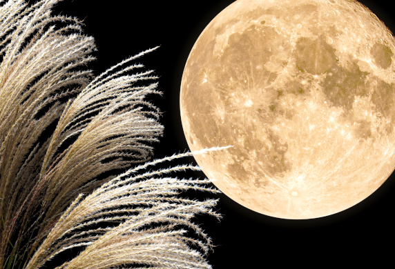 edokai_oota's tweet card. 中秋の名月について