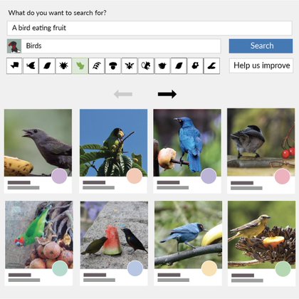 Tweet card summary image