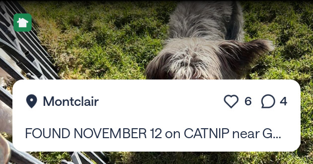 Tweet card summary image