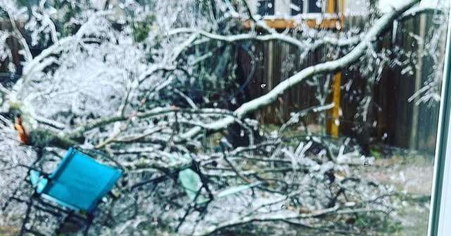 Tweet card summary image