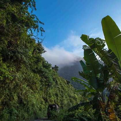 Tweet card summary image