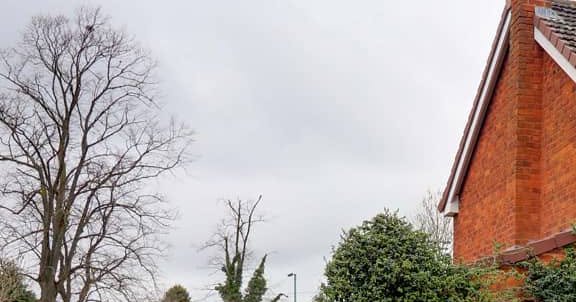 Tweet card summary image