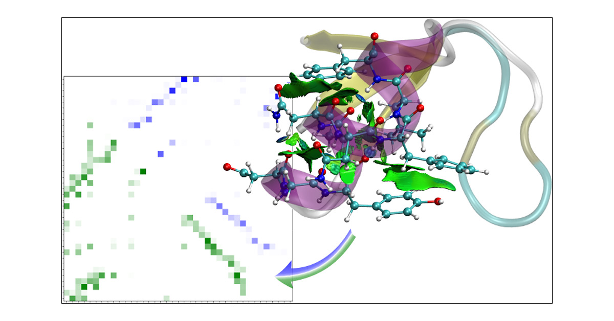 fmkz___'s tweet card. Noncovalent interactions (NCIs) are fundamental to the structure, stability, and function of proteins. These interactions form complex networks that control how different protein regions relate to...