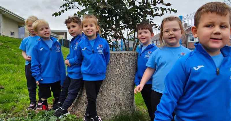 Tweet card summary image