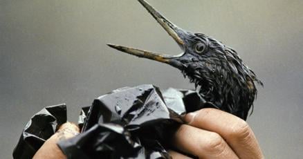 TorontoStar's tweet card. The Exxon Valdez disaster happened more than 36 years ago, but the catastrophic oil spill still looms over plans for a pipeline from Alberta to the northern British Columbia coast.