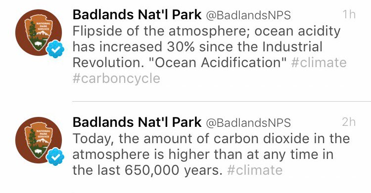 voxdotcom's tweet card. The tweets — seen as a veiled shot at Donald Trump — were soon deleted.
