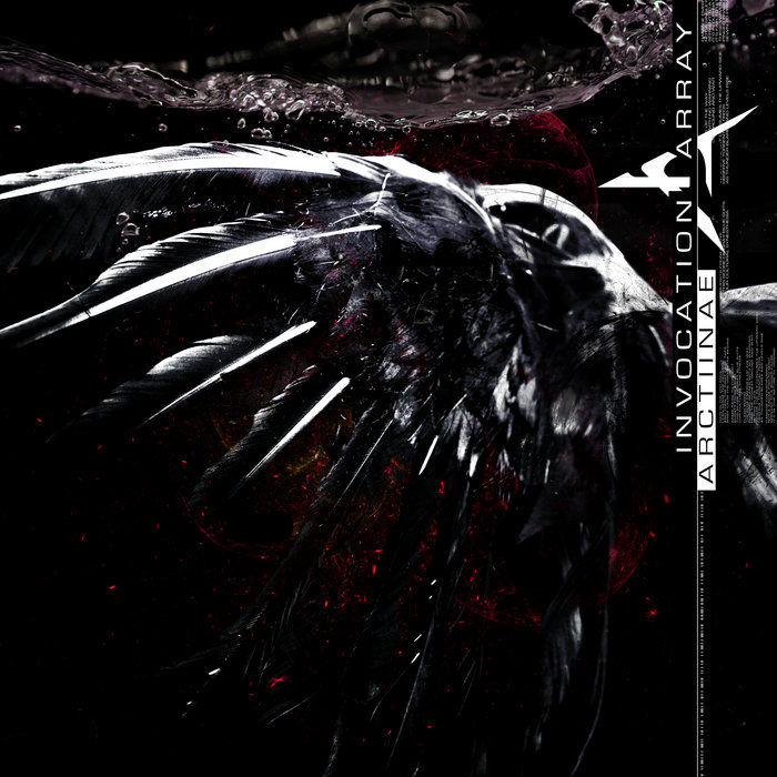 invocationarray's tweet card. Arctiinae, by Invocation Array