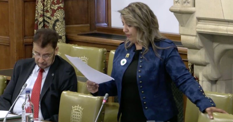 Tweet card summary image